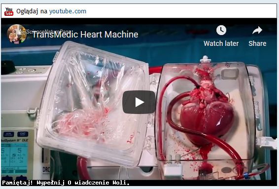 122457heart.jpg